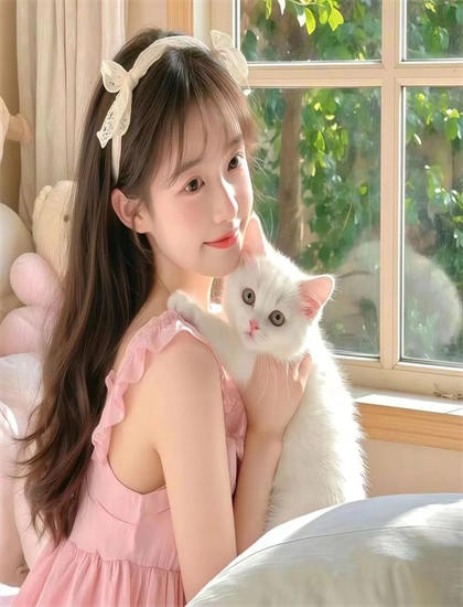 独立电影经典《猫山王中王》的技术创新与艺术成就 ——独立电影爱好者的必读指南